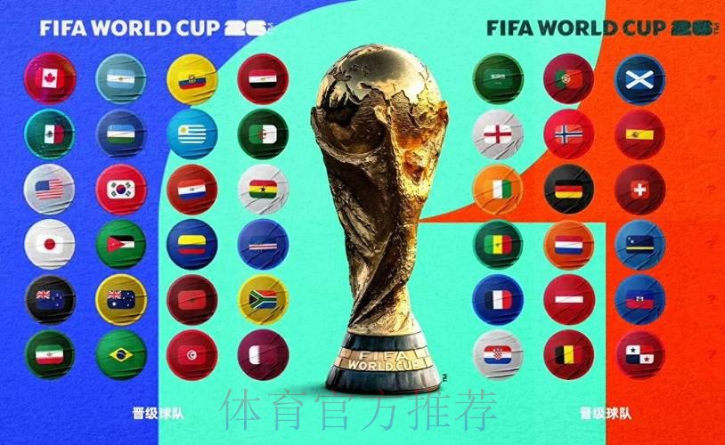 2026年世界杯买球平台排行解析